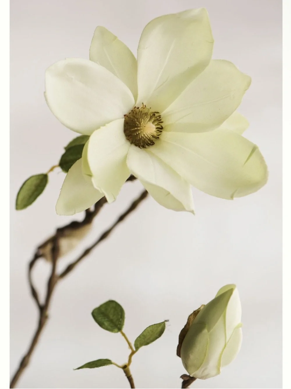 Anthropologie Terrain Faux Magnolia Spray Green One Stem